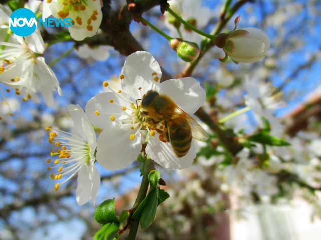 Пролетта идва!