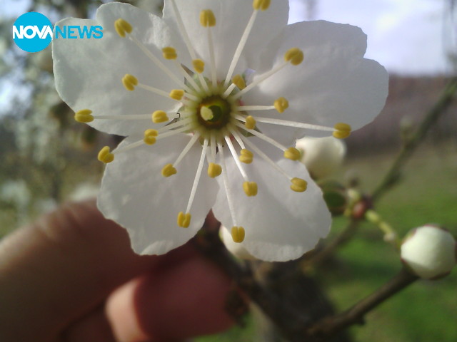 За прогнозата на времето