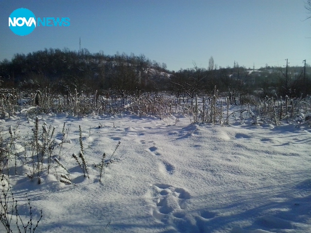 Нежно, красиво и снежно...