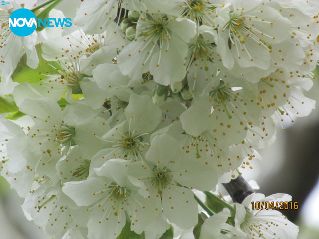 Пролет в Бистрица