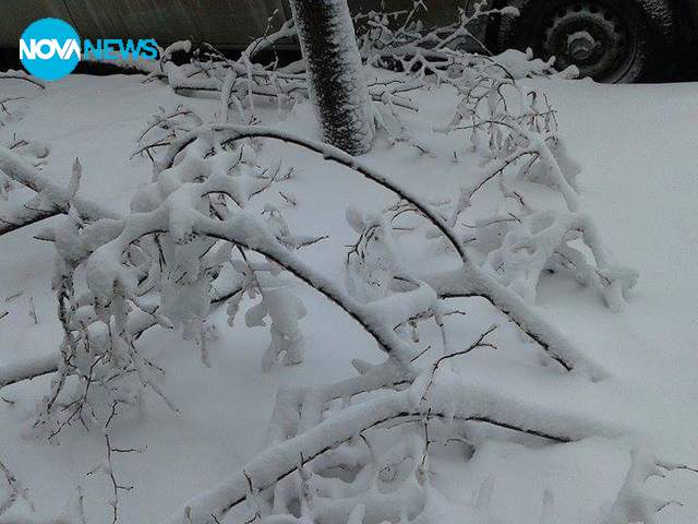 Снегът в Русе