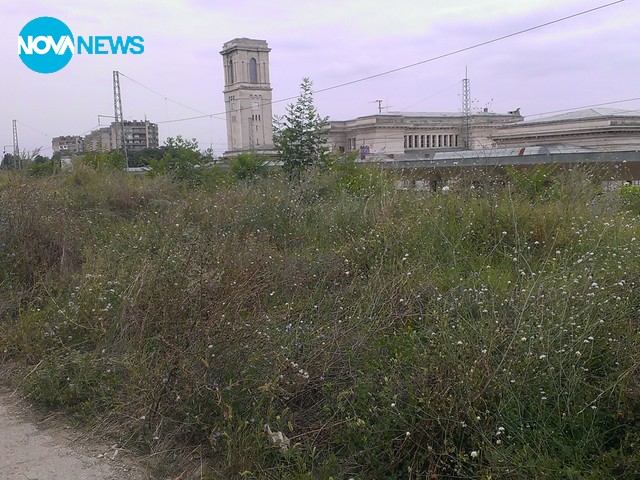 Неокосени тревни площи в гр. Русе