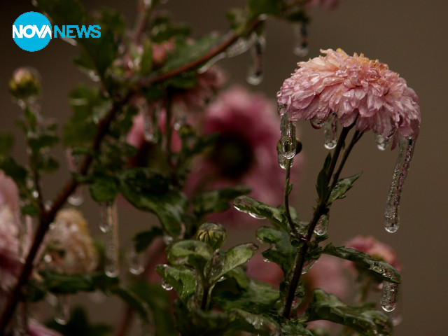 Красива ледена обвивка в Шумен