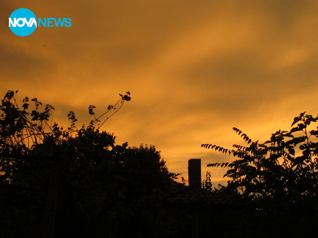 Памучен залез...