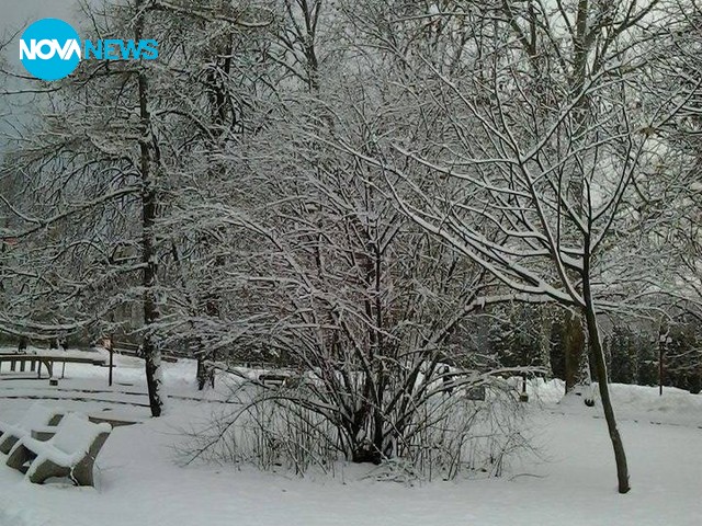 Снегът в Монтана