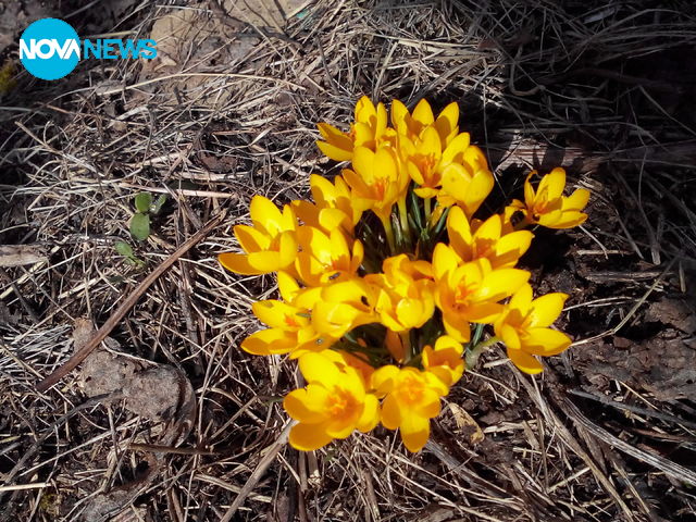 Пролет в Средна гора