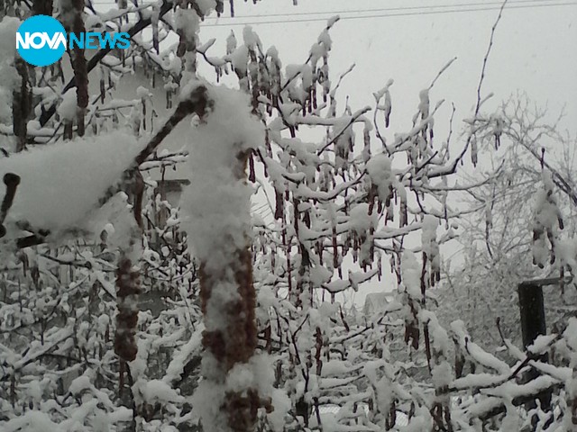 Капризите на баба Марта