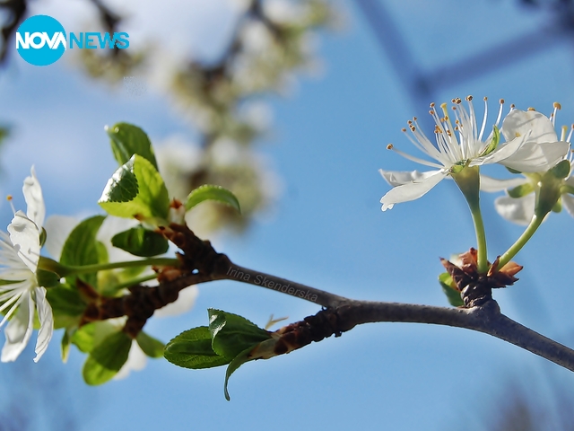 За прогнозата за времето
