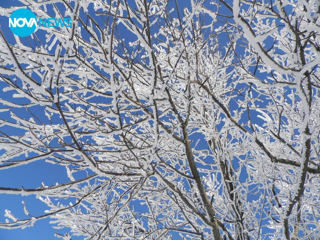 Красотата на зимата