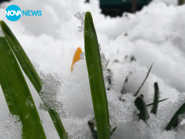 Баба Марта в Пловдив