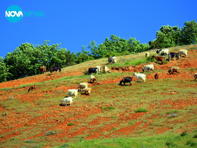 Красива пролет 2