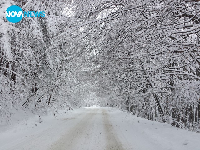 Снежна красота