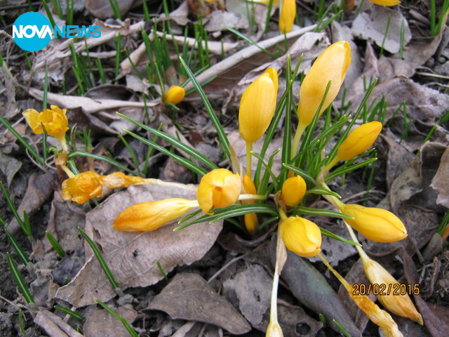 В очакване на изгрева