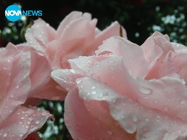 Вълшебство