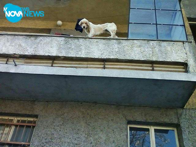 Хора без сърца!