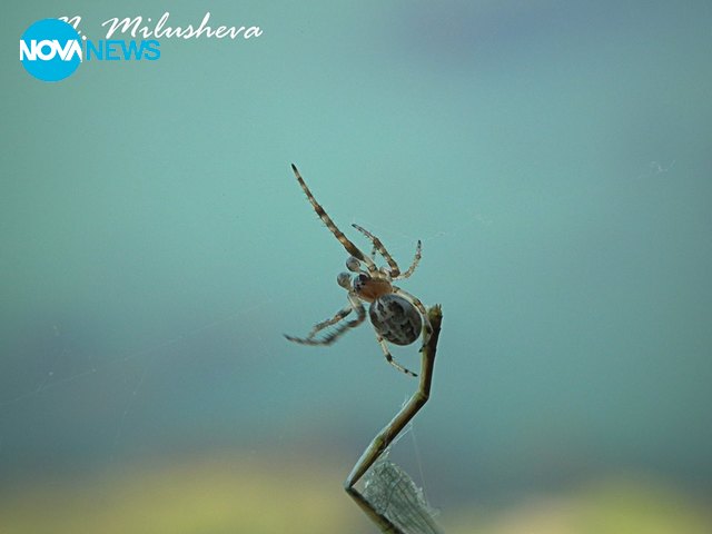 Снимка за прогнозата на времето