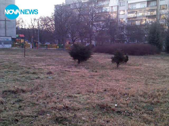 Блок-пейки-ограда-площадка