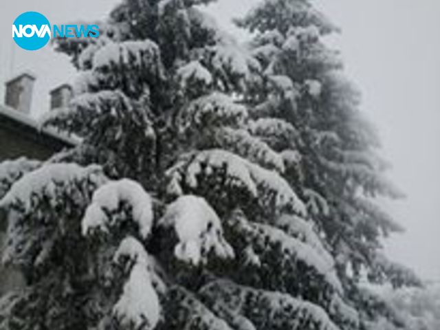 Ужас в село Мокреш