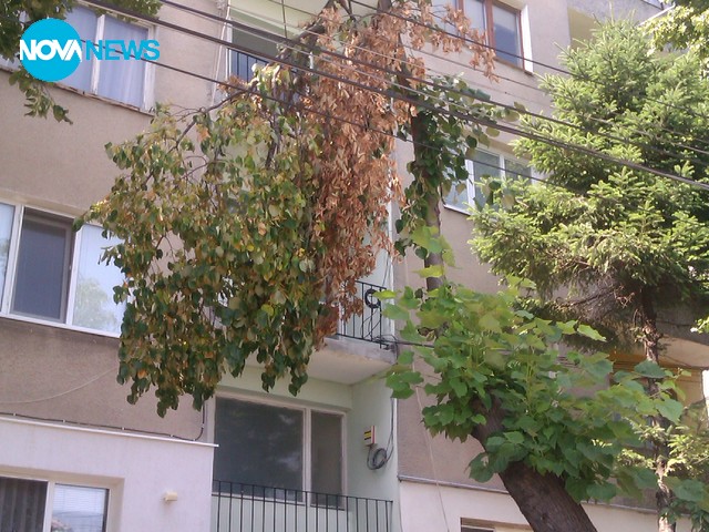 Последствията от бурите