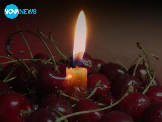 Стихотворение за жената, която се запали пред президентството