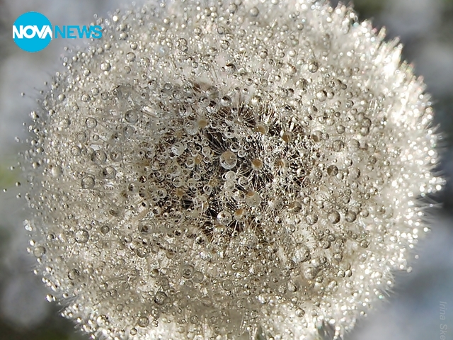 За прогнозата за времето