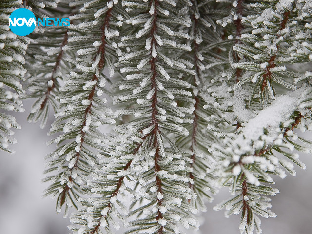 Снежни красоти