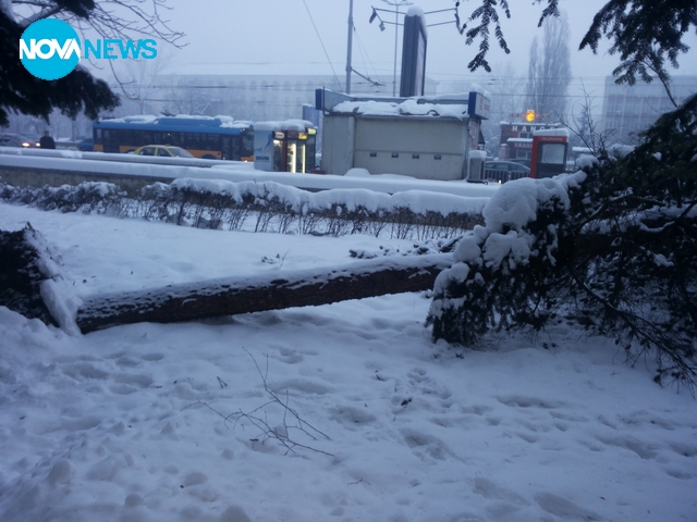 Столичният инспекторат спи