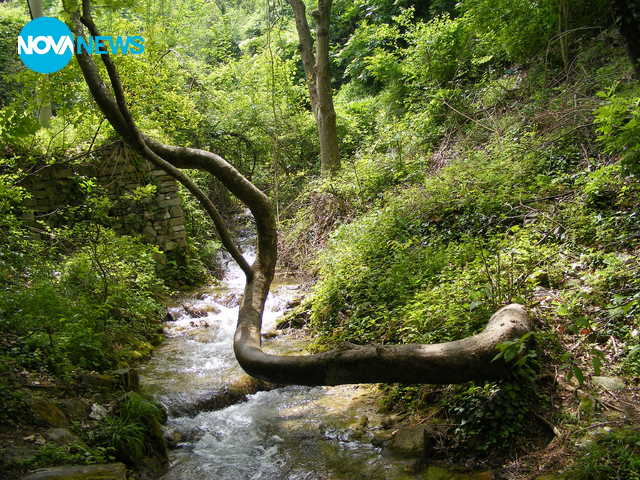 Здравей, България!