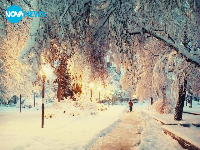 Зимна приказка