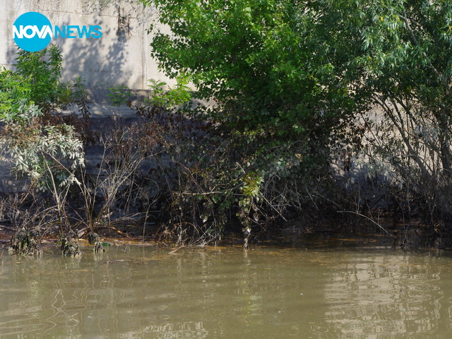 Замърсяването в Сребърна
