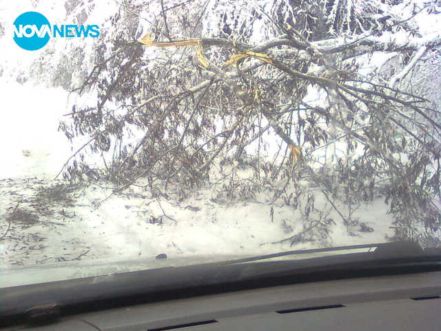 Без коментар