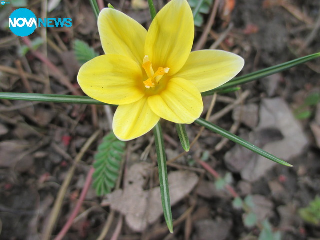 Снимки за времето