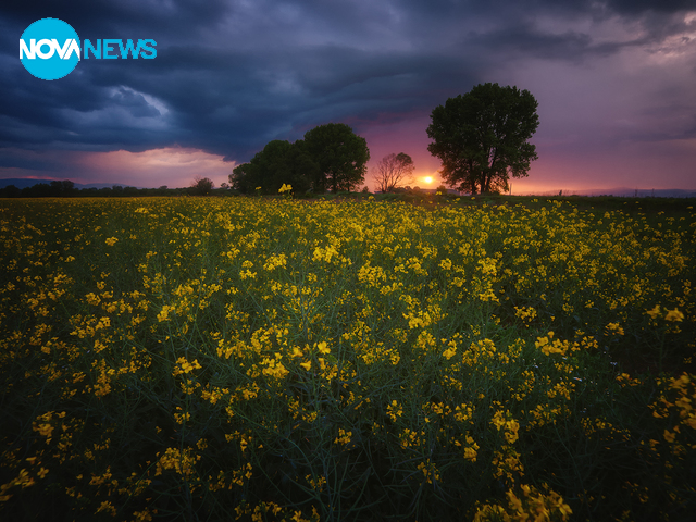 Пролетно време