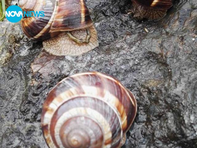 След дъжда...