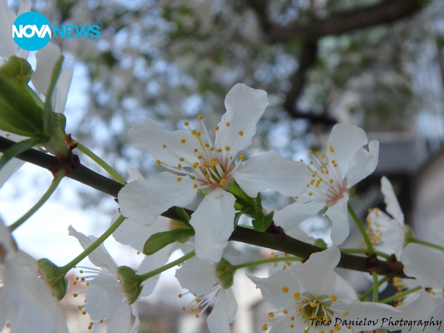 Пролет иде!