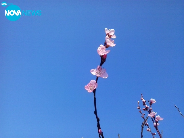 Пролетна идилия за една мирна неделя!