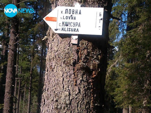 Поголовна сеч в Рила