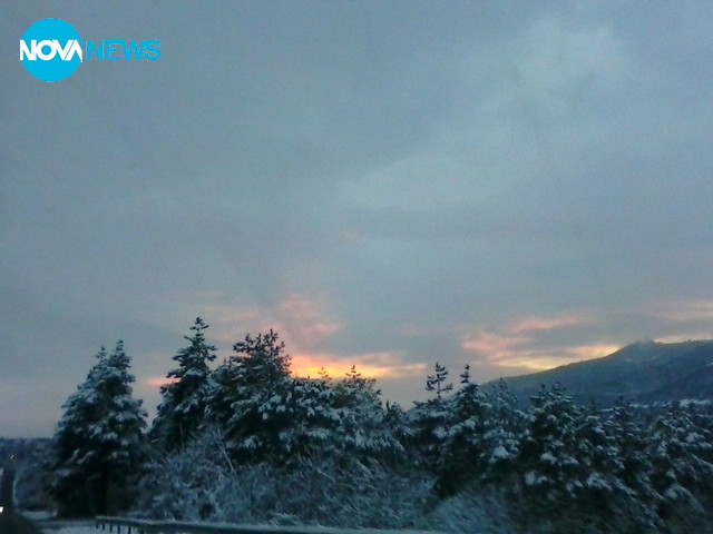 Небето розовее