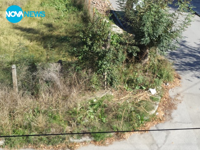 Боклуци в Кюстендил