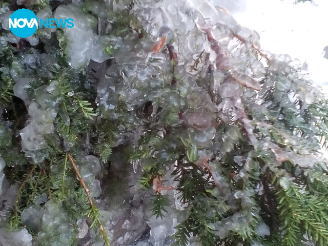 Ледени чудеса