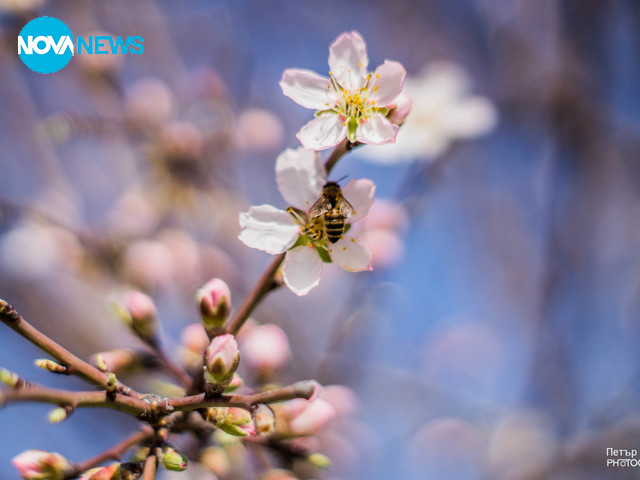 Снимка за прогнозата за времето
