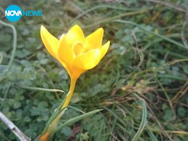 Пролет през февруари в с. Устина