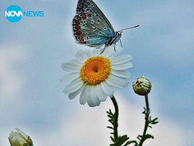 С поглед към пролетта