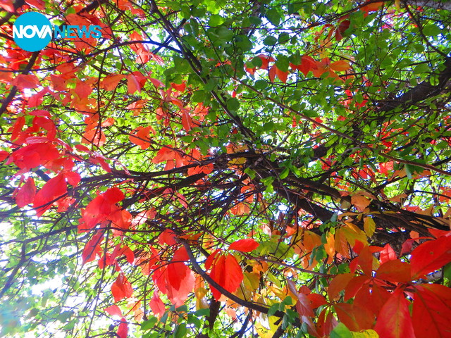 Есента в краката ми