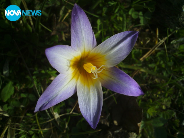 За прогнозата на времето