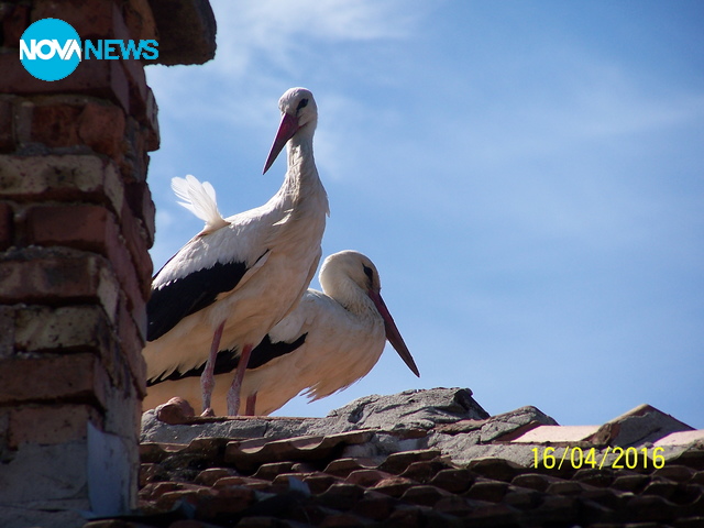 "Привет" от гостите на покрива