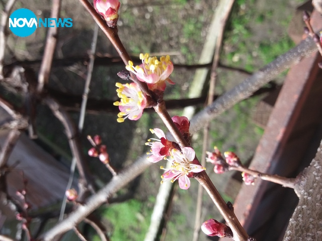 Пролет в Пазарджик