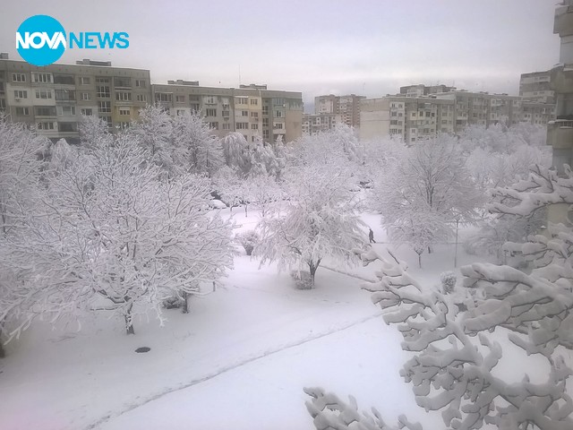 Снежна приказка