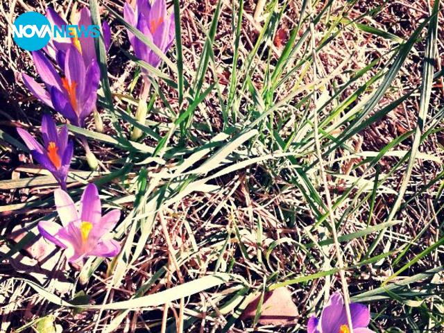 Пролет в планината