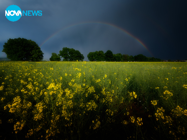 Пролетта дойде